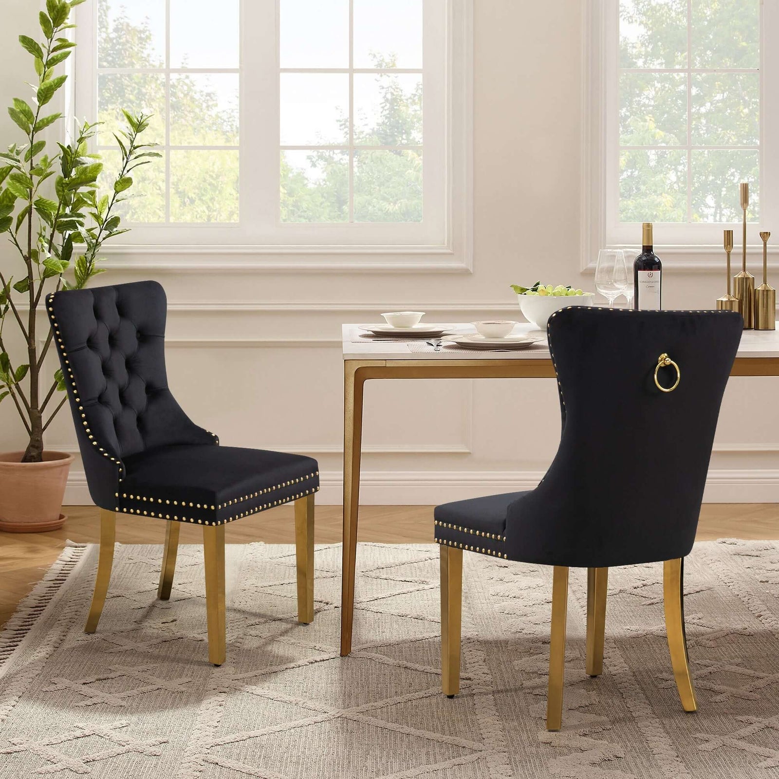 Alsea Velvet Dining Chairs: Comfort & Elegance-Upinteriors