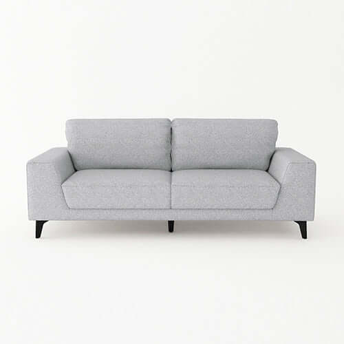 Light Grey Fabric 2-Seater Sofa with Solid Wooden Frame and Black Legs-Upinteriors